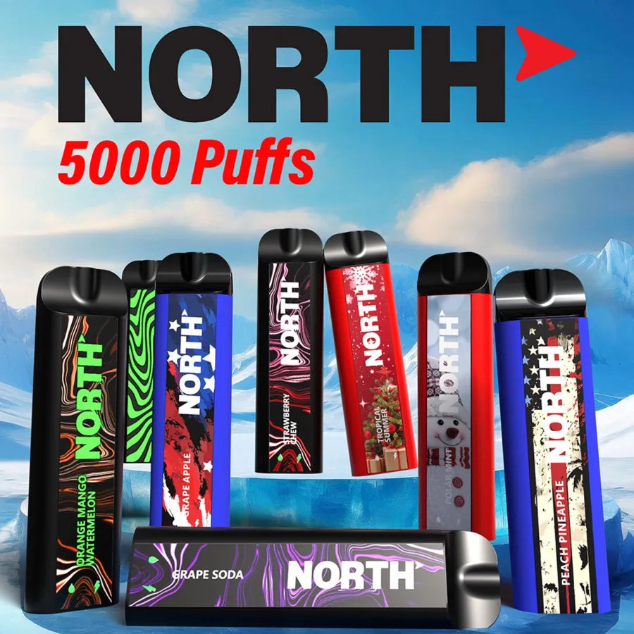 NORTH 5000 PUFFS 5% NIC 10ML DISPOSABLE